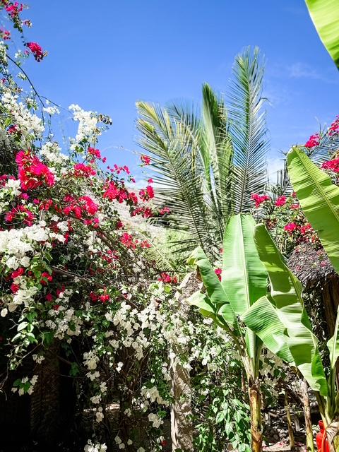 Hotel Sansibar: Boutique-Hotel Green Ocean Zanzibar