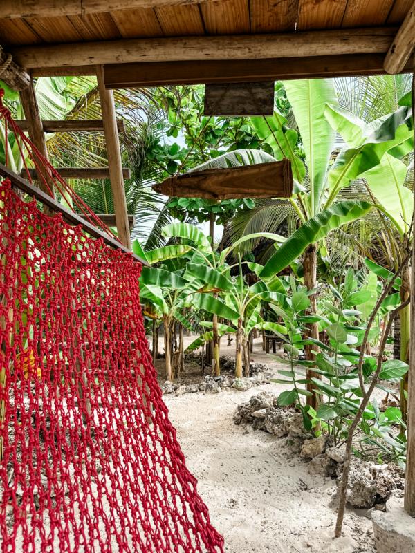 Tropischer Garten im Boutique-Hotel Green Ocean Zanzibar