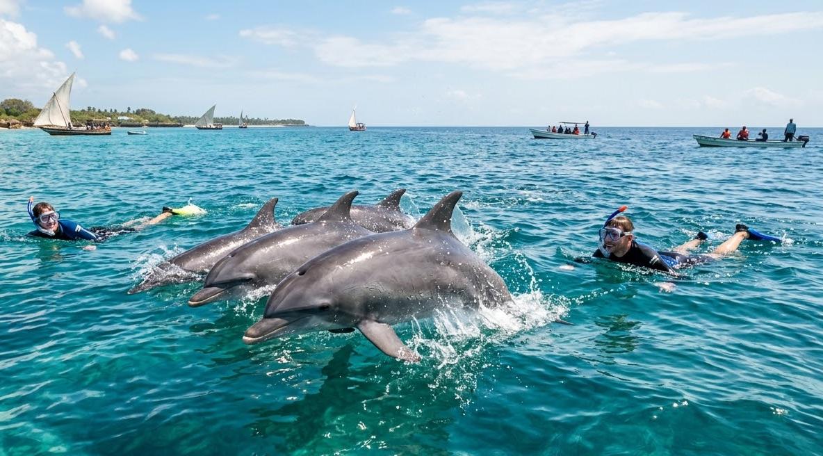 Sansibar entdecken: Delfin-Schwimmen